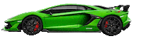 Security Supercar Sticker by Pandora Car Alarms