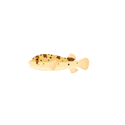 Illustration Cartoon Sticker by Muséum-Aquarium de Nancy