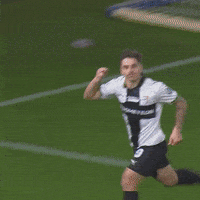 Goal GIF by Parma Calcio 1913