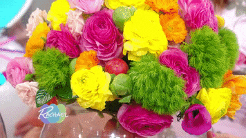 rachaelrayshow funny food gif holiday GIF