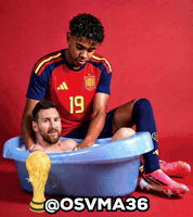Final World Cup Spain GIF