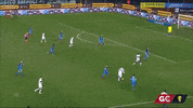 GIF by nss sports