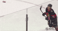 Ice Hockey Hug GIF by NHL