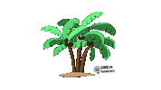 see palm trees Sticker by SWR Kindernetz