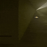 고양이 Backroom GIF