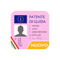 patente b Sticker by Quiz Patente