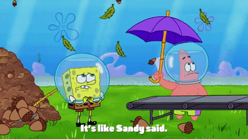 season 9 episode 23 GIF by SpongeBob SquarePants