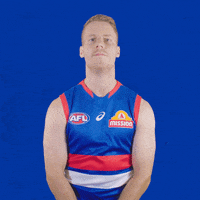 GIF by Western Bulldogs