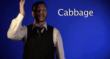 Sign Language Asl GIF by Sign with Robert