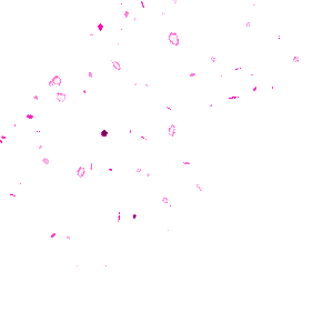 Animated Sticker