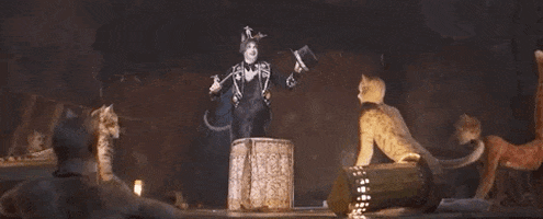 Cats 2019 GIF by Vulture.com