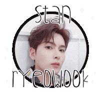 Super Junior Korea Sticker