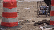 Travel Walking GIF by NRDC