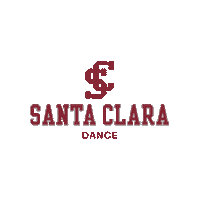 Go Broncos Sticker by Santa Clara Broncos