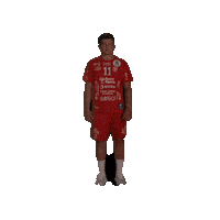 Rema1000Ligaen Follo Sticker by Norsk Topphåndball
