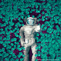 Rose Fish GIF
