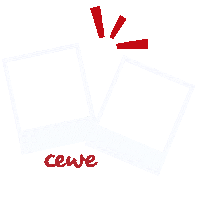 Polaroid Fotos Sticker by CEWE