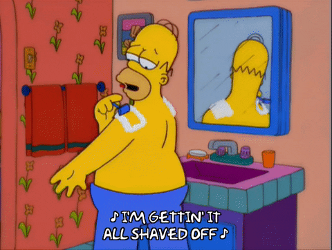 homer simpson GIF