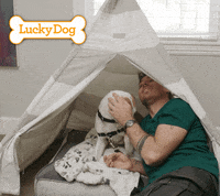 Dog Love GIF by cbsluckydog