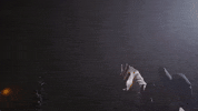 The Feeling GIF by Justin Bieber