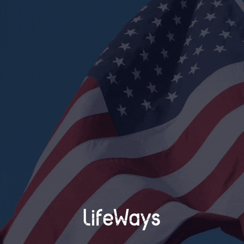 lifewaysmi giphyupload united states army mental health GIF