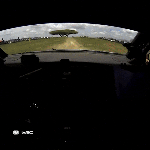 Hyundai Driving GIF by FIA World Rally Championship