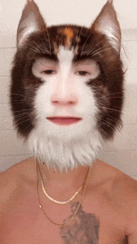 Meow Meowing GIF
