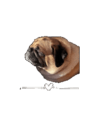 Relaxed Dog Sticker