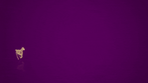 beyondthelogo giphyupload GIF
