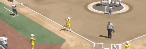 James Madison Softball GIF by NCAA Championships
