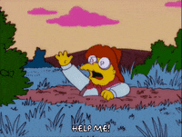 season 12 episode 21 GIF