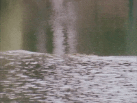 Elf Crackerbox Palace GIF by George Harrison