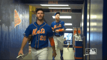happy ny mets GIF by New York Mets