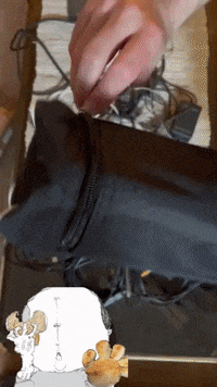 Performance Lab GIF by Alex Boya