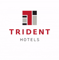 Tridenthotels celebration beer holiday cocktails GIF