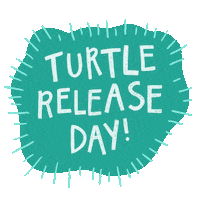 Celebrate Sea Turtle Sticker by Olive Ridley Project