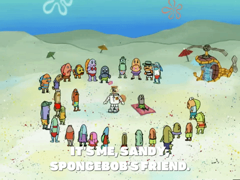 season 6 GIF by SpongeBob SquarePants