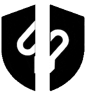 Car Tuning Sticker by SPWRAP