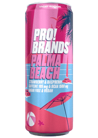 Summer Energy Sticker by PROBRANDS