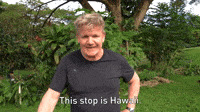 This Stop Is Hawaii