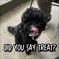 Doodle Foodie GIF