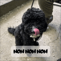 Doodle Foodie GIF