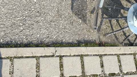 femagreenexpert giphyupload nimos GIF