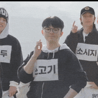 Cat Peace GIF