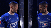 Hoffenheim Kramaric GIF by Bundesliga