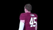Lamb Jacklamb GIF by Lafayette Leopards