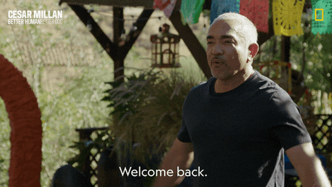 Dogwhisperer GIF by National Geographic Channel