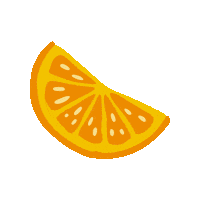 BrunchBuddy orange fruit citrus orange slice Sticker
