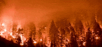 Fires GIF
