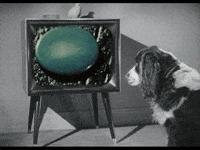 Marc Rodriguez Art GIF